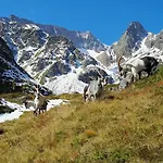 Hoher Kogel *