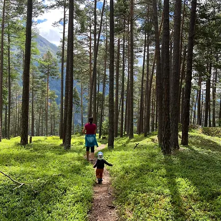 Hoher Kogel Apartament *