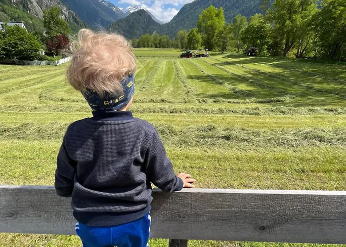 Hoher Kogel 公寓 *