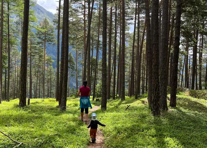 Hoher Kogel 公寓 *