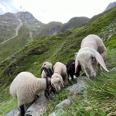 Appartamento Hoher Kogel