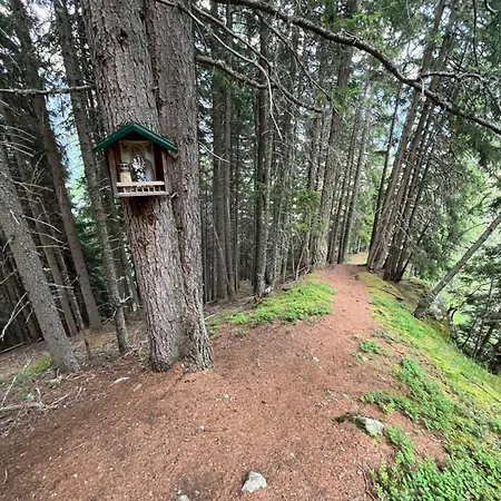 Hoher Kogel Längenfeld